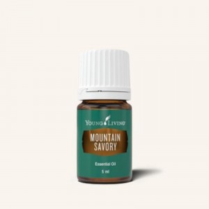 Mountain Savory 冬季香薄荷